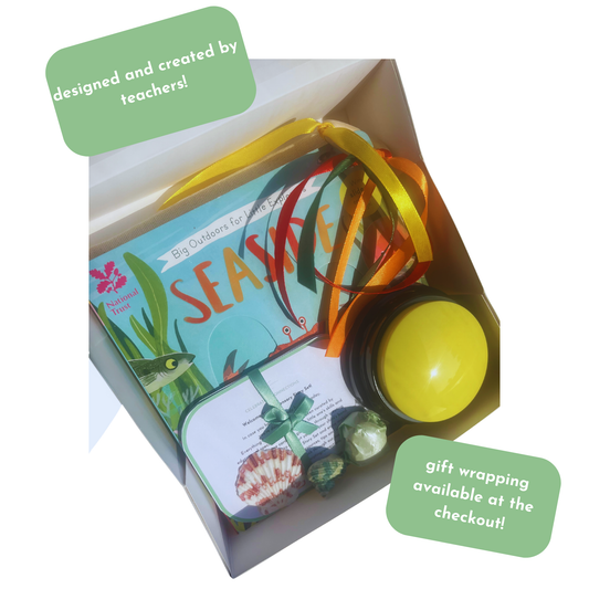 Seaside Sensory Story Set